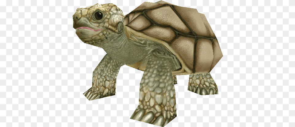 Download Zip Archive Zoo Tycoon 2 Tortoise, Animal, Reptile, Sea Life, Turtle Png Image