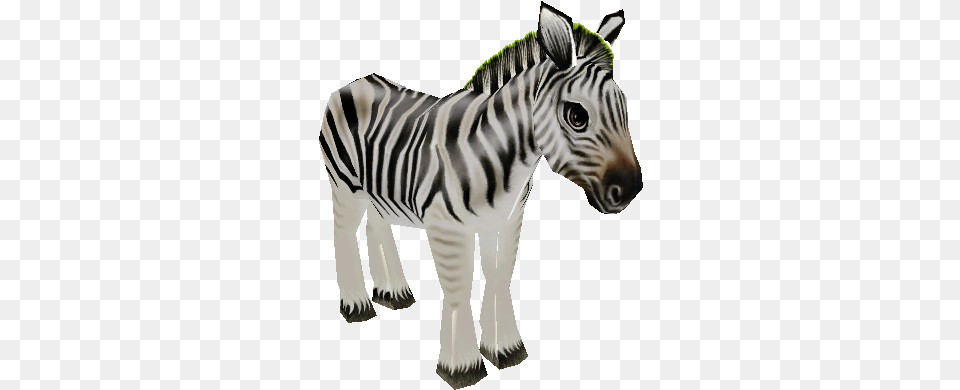 Download Zip Archive Zoo Tycoon Zebra, Animal, Mammal, Wildlife Png Image