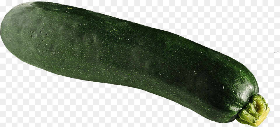 Download Zucchini Image For Zucchini, Food, Plant, Produce, Squash Free Transparent Png
