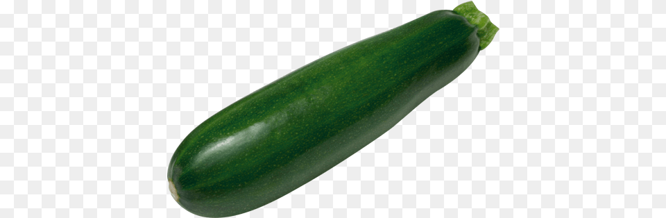 Download Zucchini With No Zucchini, Food, Plant, Produce, Vegetable Png Image