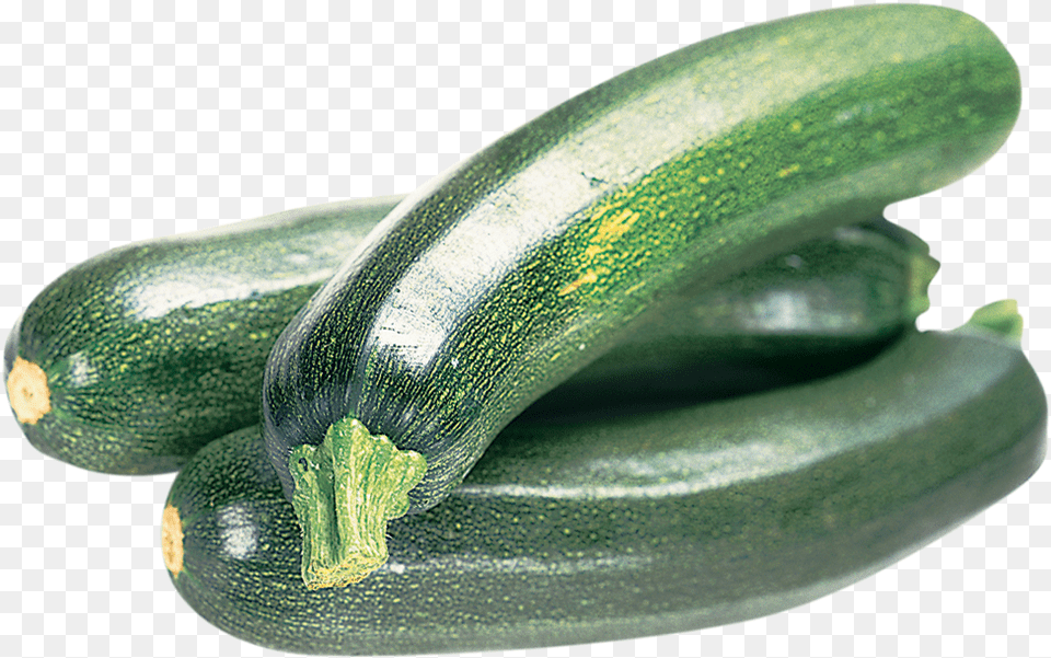 Download Zucchini Transparent Zucchini, Food, Plant, Produce, Squash Free Png