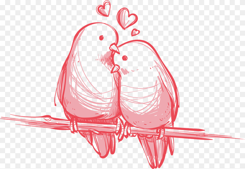 Downloads Wedding Youtube Birds Hq Love Birds Day, Art, Graphics, Adult, Female Png Image