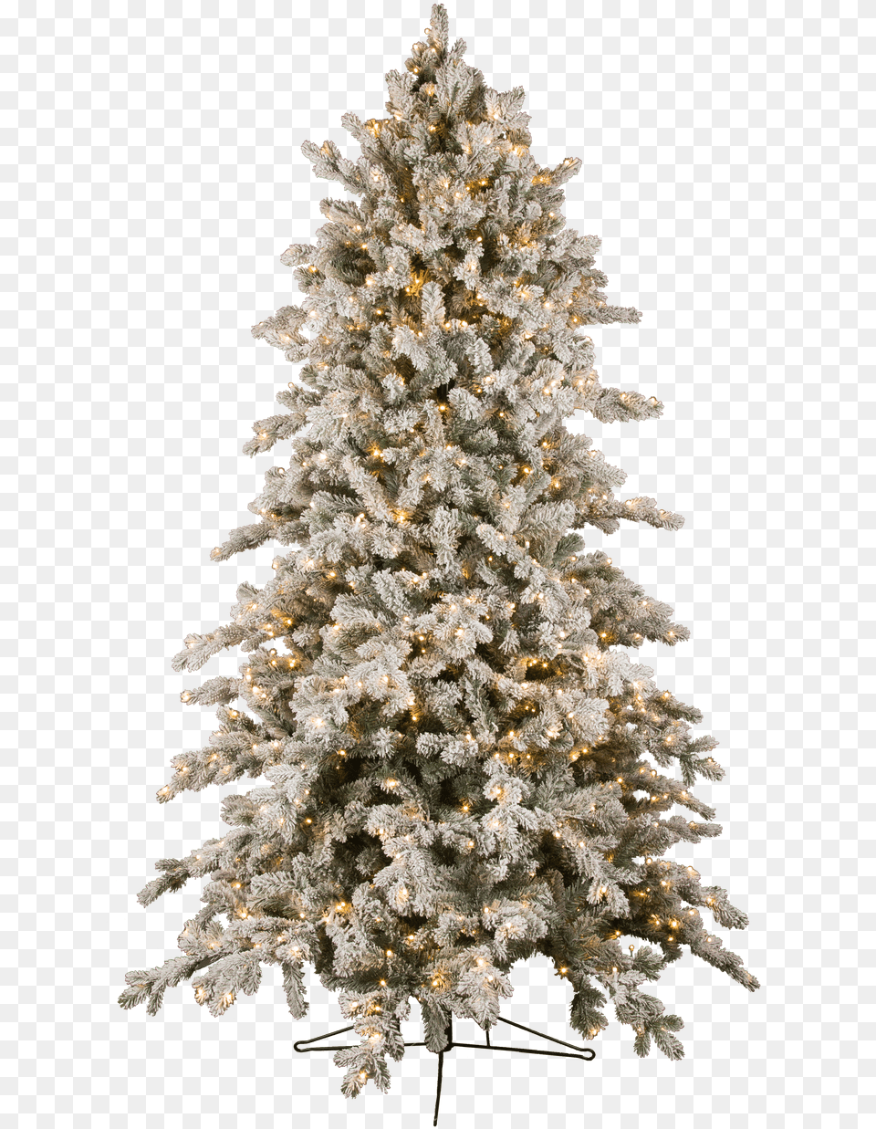 Downswept Slim Snowy Douglas Fir Tree Flocked Christmas Tree, Plant, Christmas Decorations, Festival, Christmas Tree Png Image