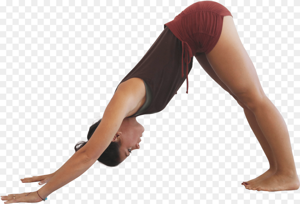 Downward Facing Dog Pose, Adult, Woman, Female, Person Free Png Download
