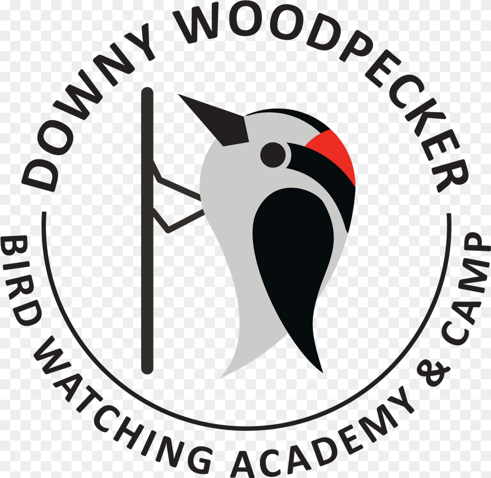 Downy Woodpecker Wharf House Restaurant, Animal, Beak, Bird, Logo Free Transparent Png