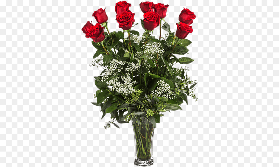 Dozen Long Stemmed Roses With Baby39s Breath Sidney Flower Shop, Flower Arrangement, Flower Bouquet, Plant, Rose Png Image