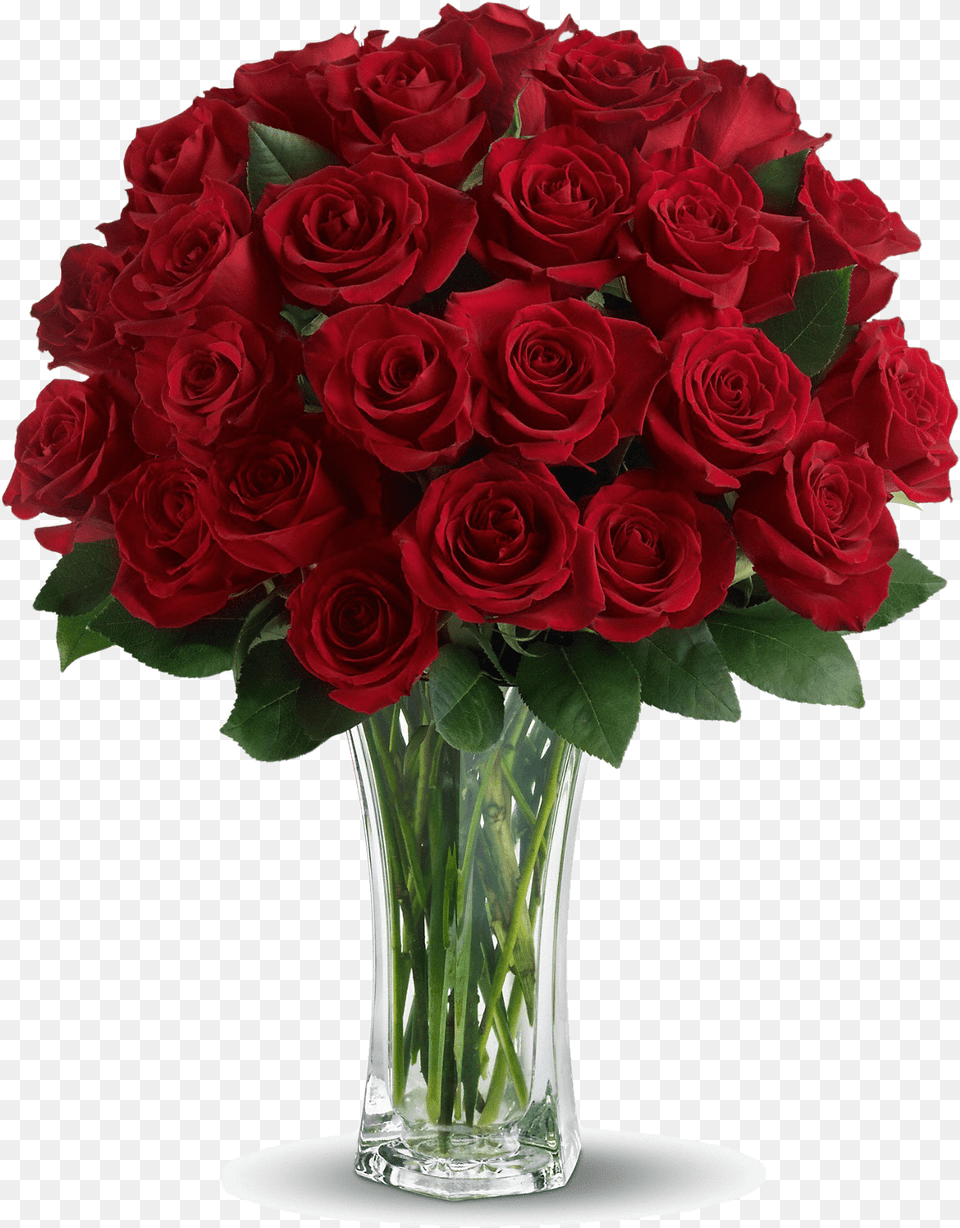 Dozen Red Roses, Flower, Flower Arrangement, Flower Bouquet, Plant Free Png Download