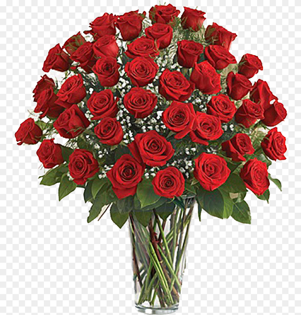 Dozen Red Roses, Flower, Flower Arrangement, Flower Bouquet, Plant Free Transparent Png