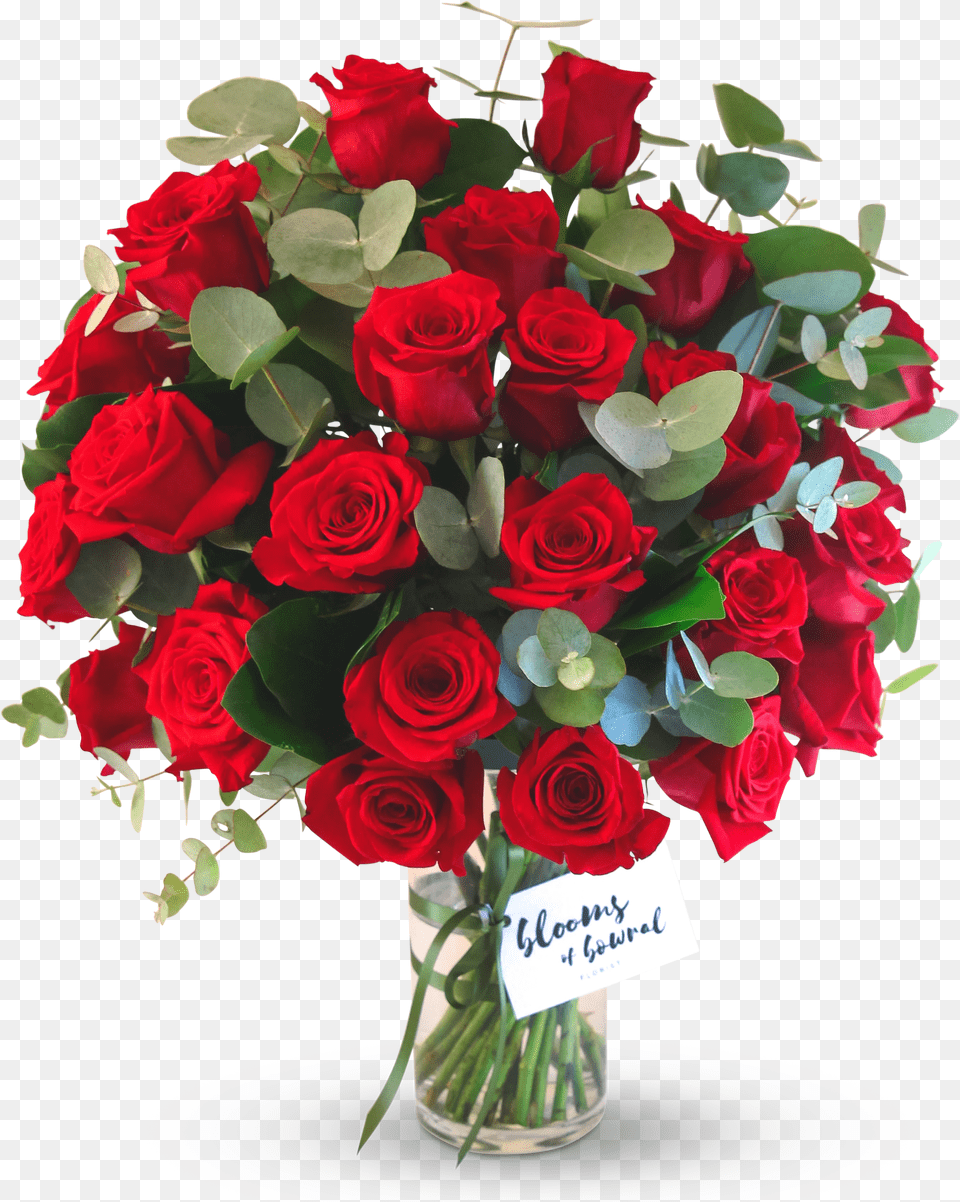 Dozen Roses, Canopy, Umbrella Png