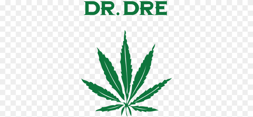 Dr Dre The Chronic, Leaf, Plant, Weed, Hemp Free Png