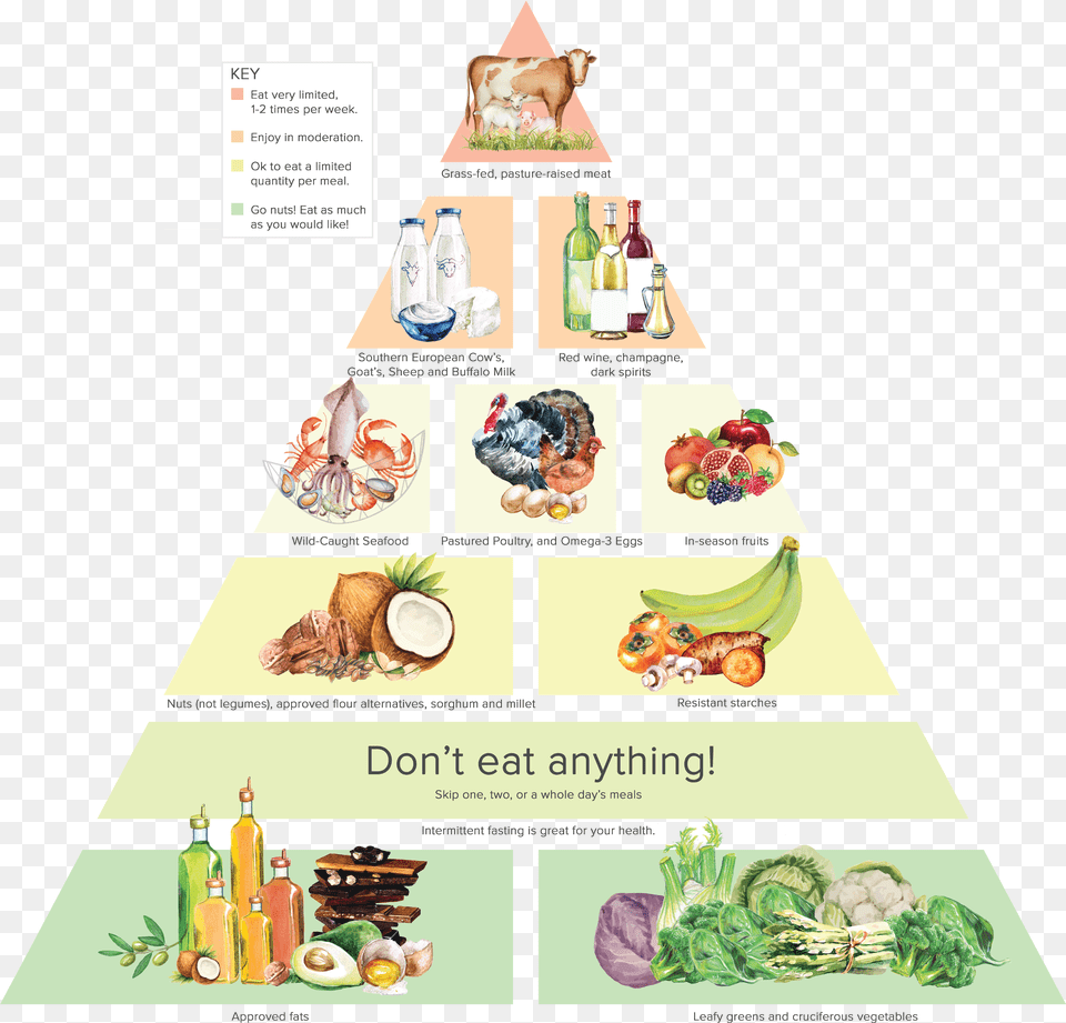 Dr Gundry39s Food Pyramid Free Png