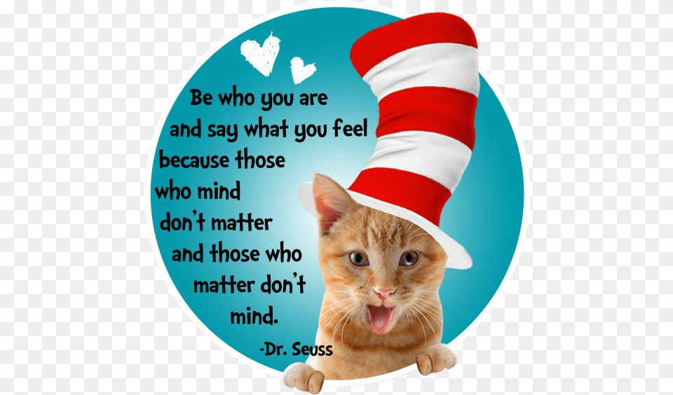 Dr Seuss Quotes, Clothing, Hosiery, Mammal, Animal Png