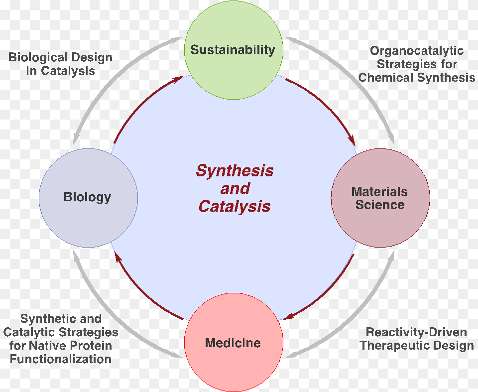 Dr Taylor Diagram, Person, Astronomy, Eclipse Png