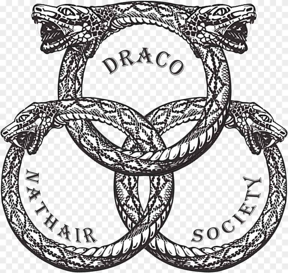 Draco Nathair Society, Knot, Animal, Dinosaur, Reptile Free Png Download