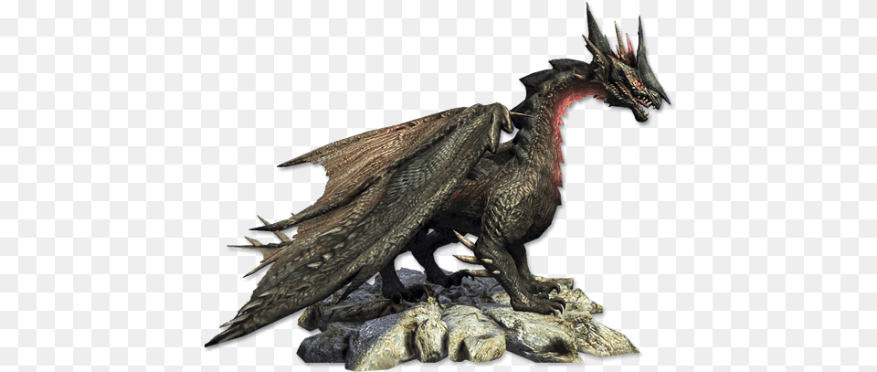 Dragon 14 Realistic Dragon File, Animal, Bird Png Image