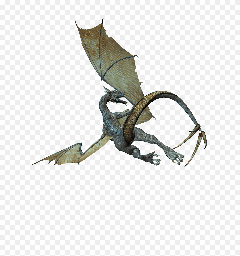 Dragon, Animal, Bird Free Png Download