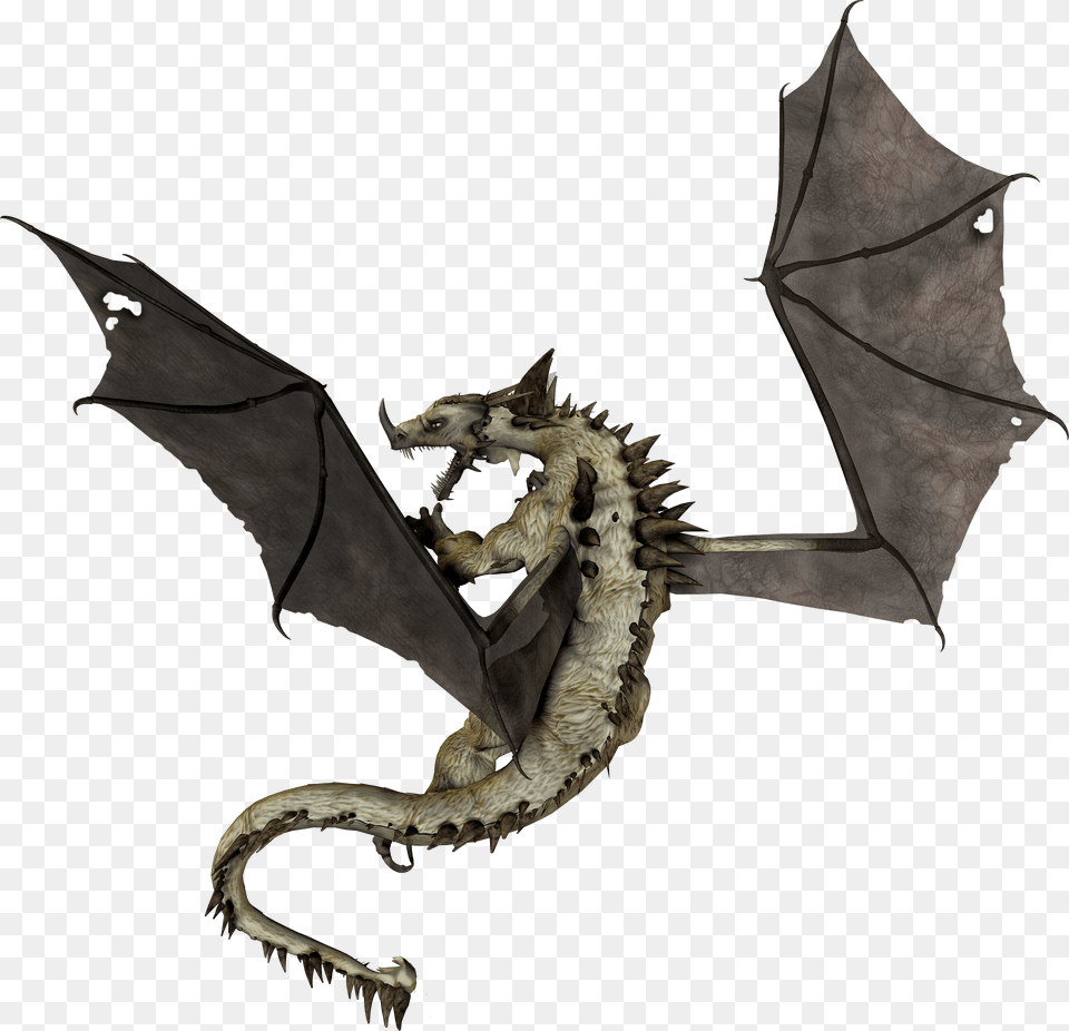 Dragon Free Transparent Png