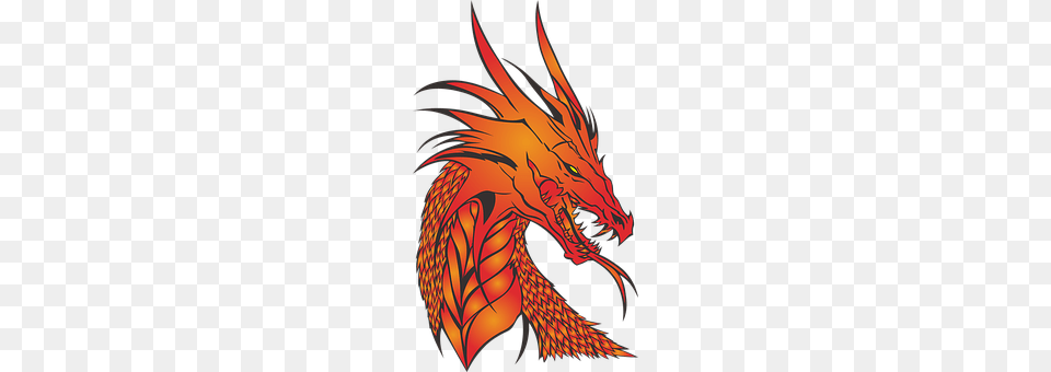 Dragon Animal, Fish, Sea Life, Shark Free Transparent Png