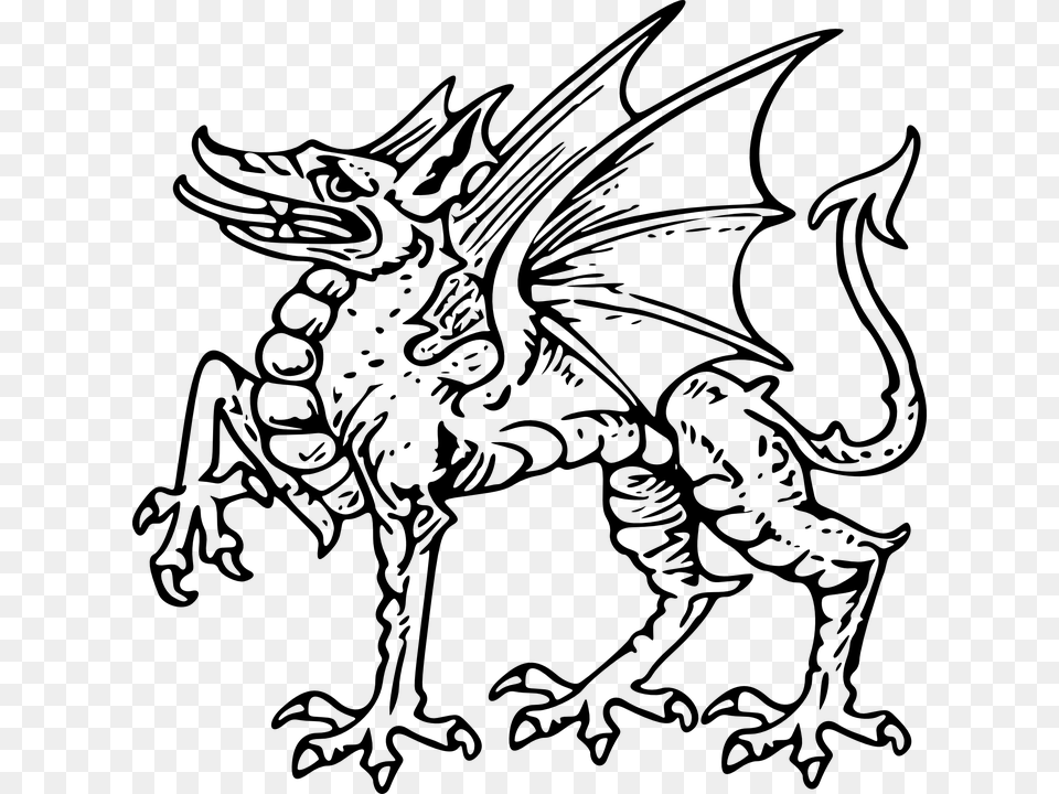 Dragon, Gray Free Png Download