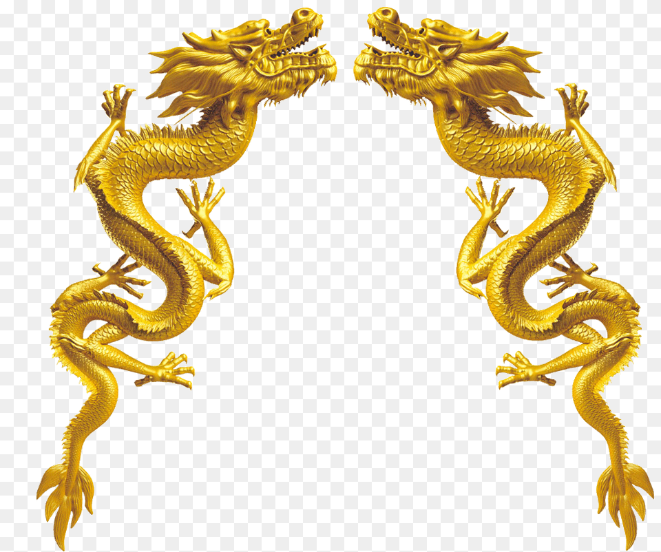 Dragon, Animal, Lizard, Reptile Png