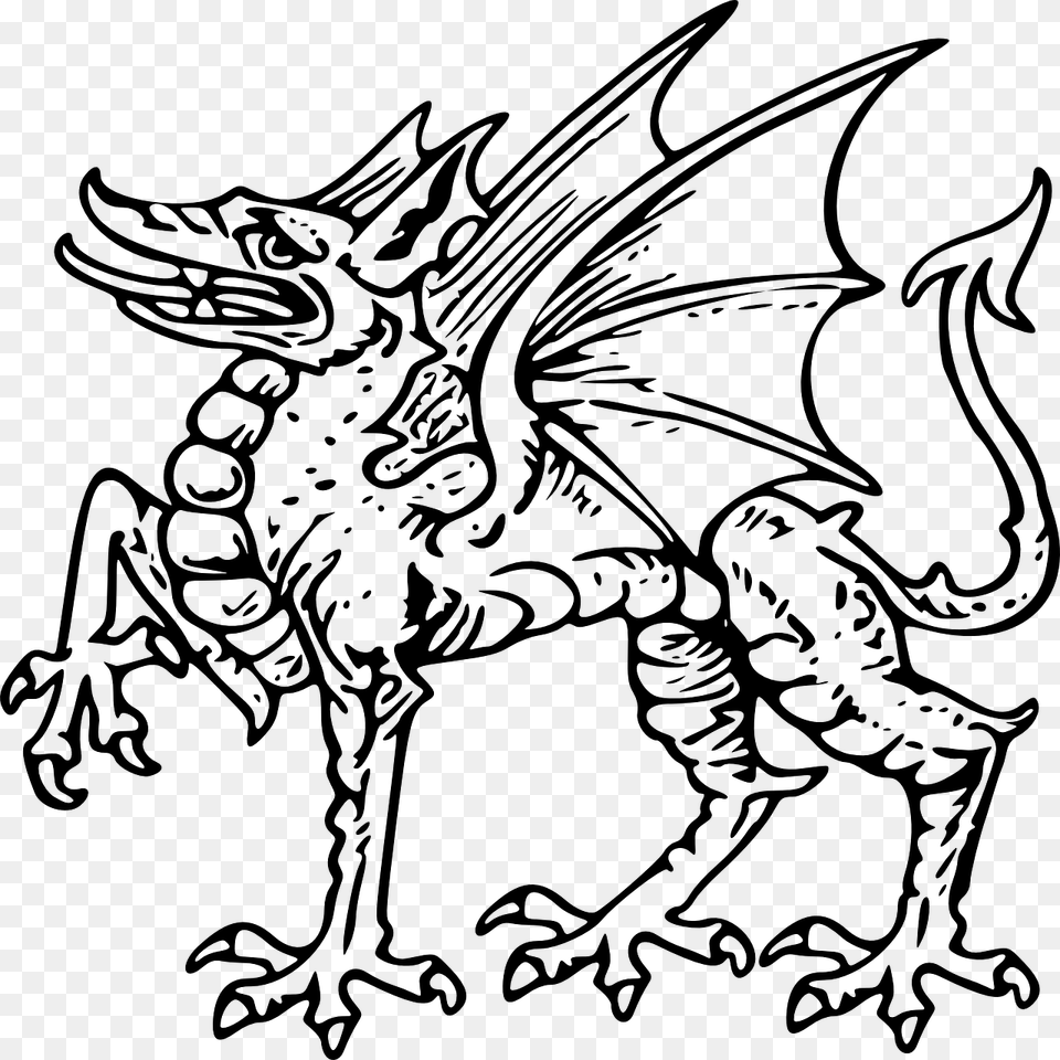 Dragon, Gray Png Image