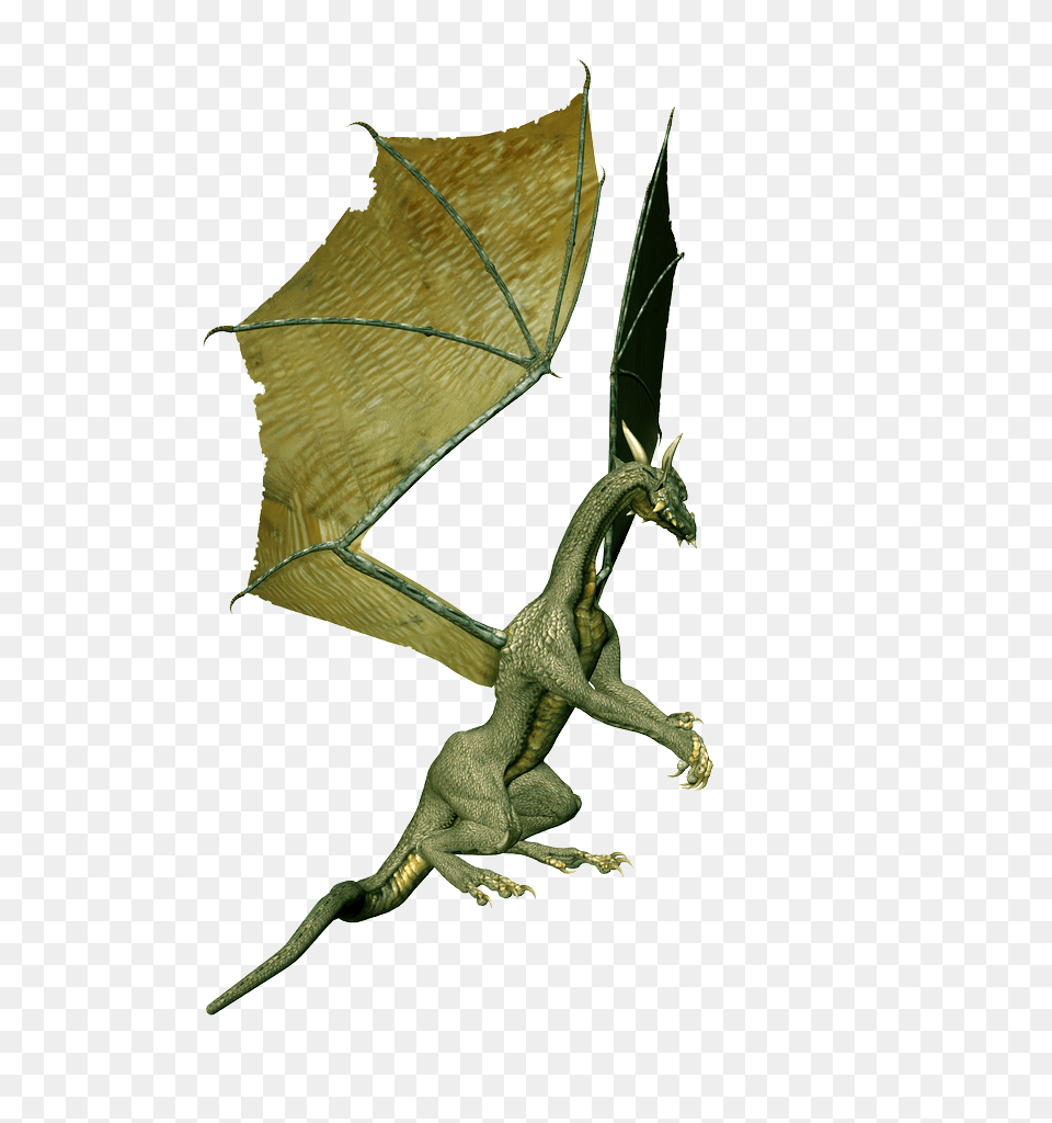 Dragon, Animal, Dinosaur, Reptile, Art Free Png