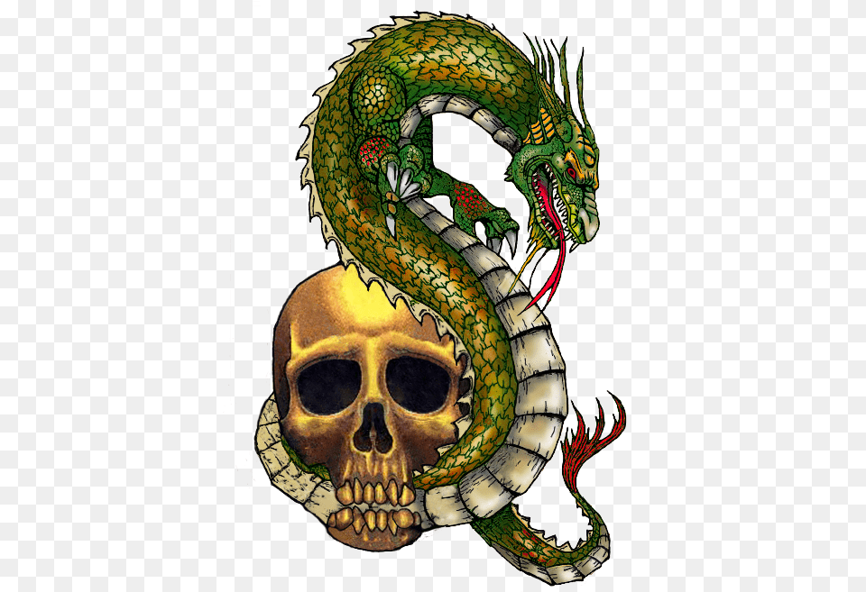 Dragon And Skull Tattoo 2014ab Skull Dragon Tattoo, Animal, Reptile, Snake Png