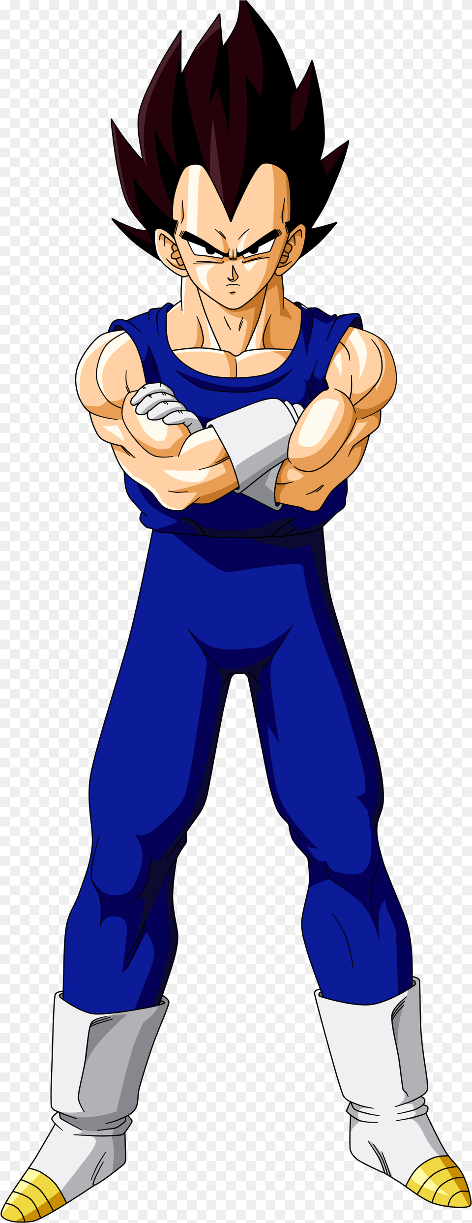 Dragon Ball Z Characters Vegeta Saga Majin Boo, Book, Comics, Publication, Person Free Png Download