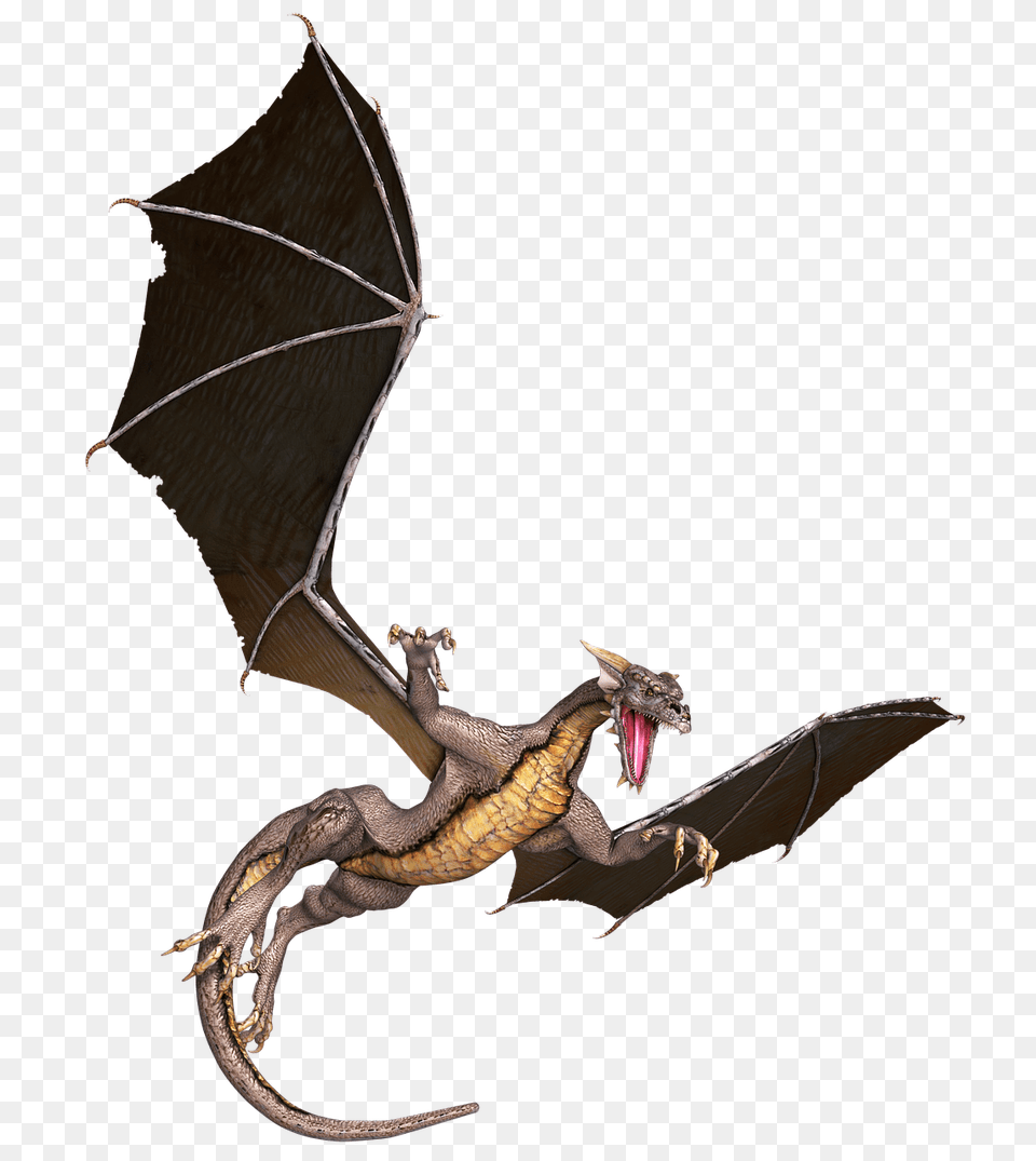 Dragon Brown Flying, Animal, Lizard, Reptile Free Png