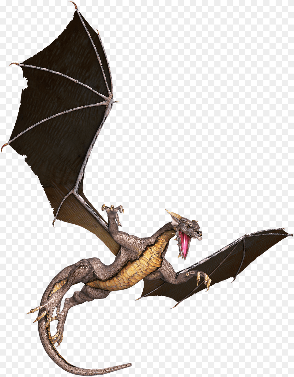 Dragon Brown Flying Dragon, Animal, Lizard, Person, Reptile Png Image