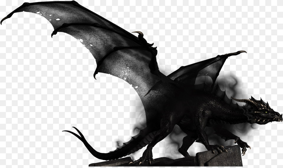 Dragon City Shadow Dragon Dungeons Amp Dragons Dampd Shadow Dragon, Person, Animal, Dinosaur, Reptile Png