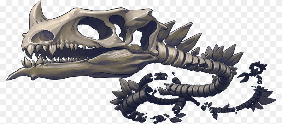 Dragon Corpse Skull, Animal, Fish, Sea Life, Shark Png Image