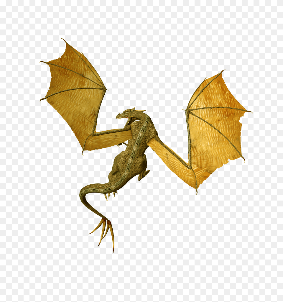 Dragon Drago Picture, Animal, Dinosaur, Reptile Png Image