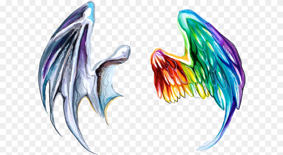 Dragon Dragons Dragonwings Dragonwing Angel Anegls Dragon Angel Wing, Accessories, Animal, Bird, Fish Png Image