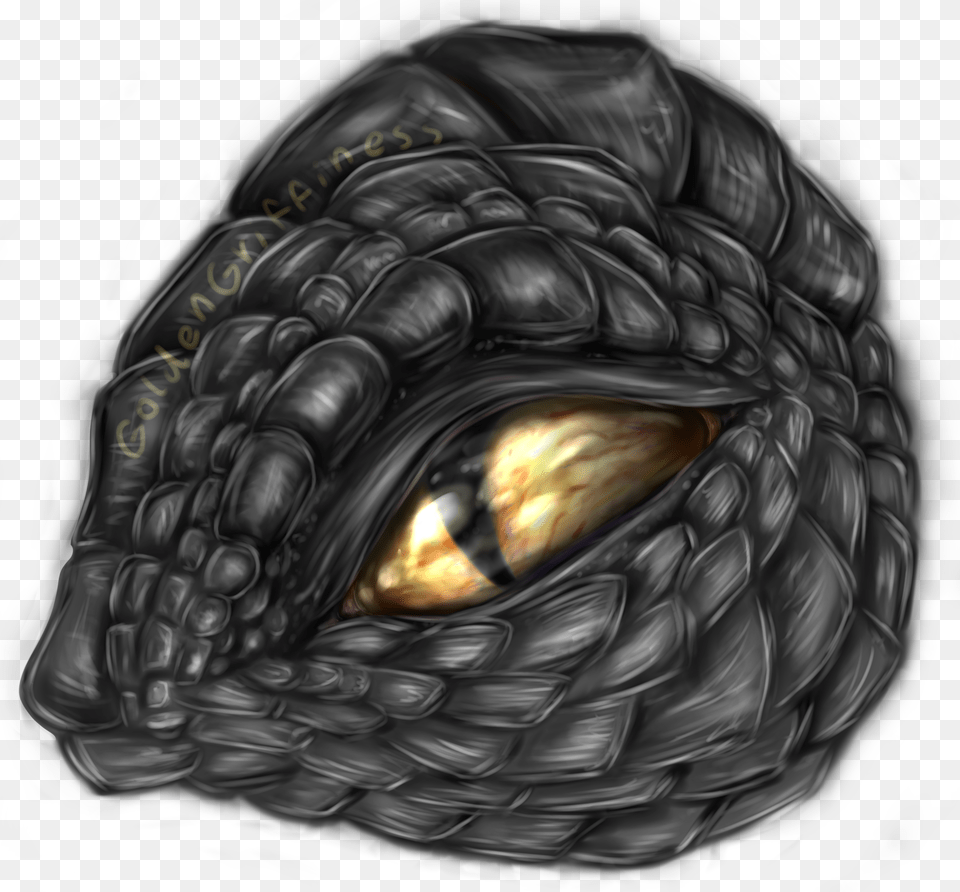 Dragon Eye, Ammunition, Grenade, Weapon, Animal Free Transparent Png