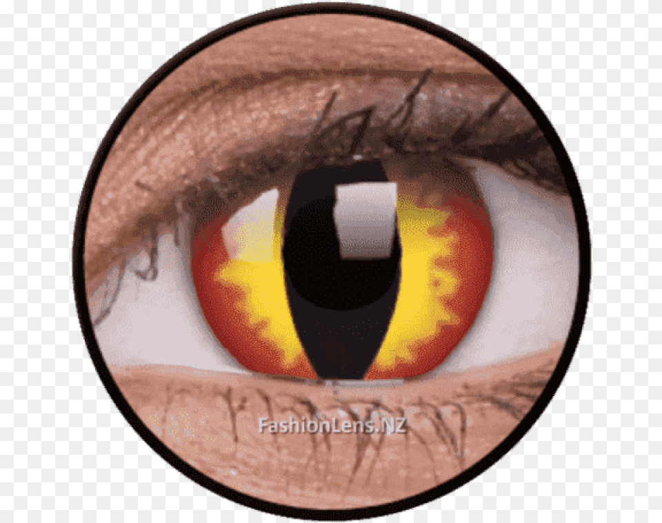 Dragon Eyes, Contact Lens Png Image