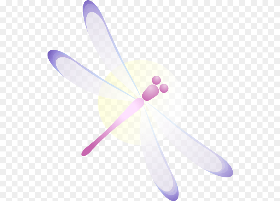 Dragon Fly Room Circle, Animal, Dragonfly, Insect, Invertebrate Free Transparent Png