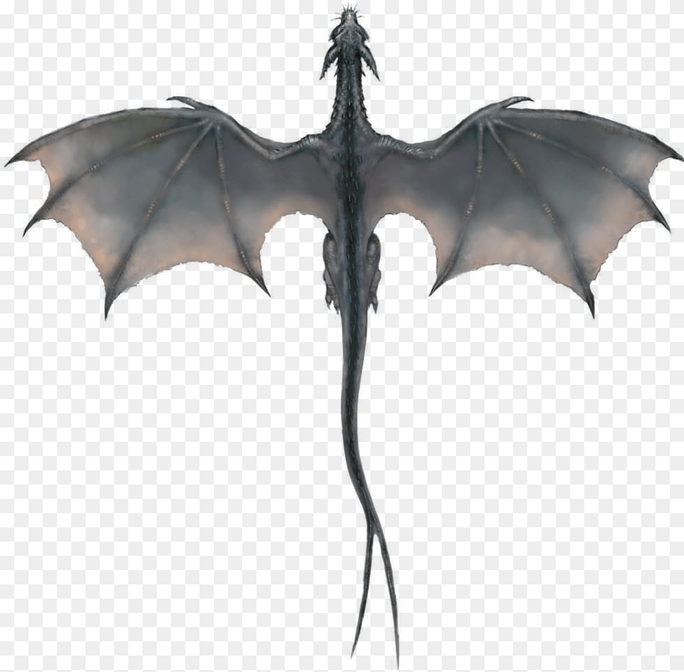 Dragon Transparent Image Game Of Thrones Dragon Wings, Person Free Png