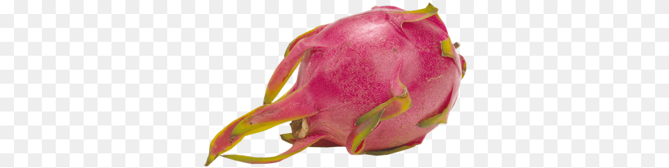 Dragon Fruit 1 Ea Pitahaya, Food, Produce, Plant, Animal Free Transparent Png