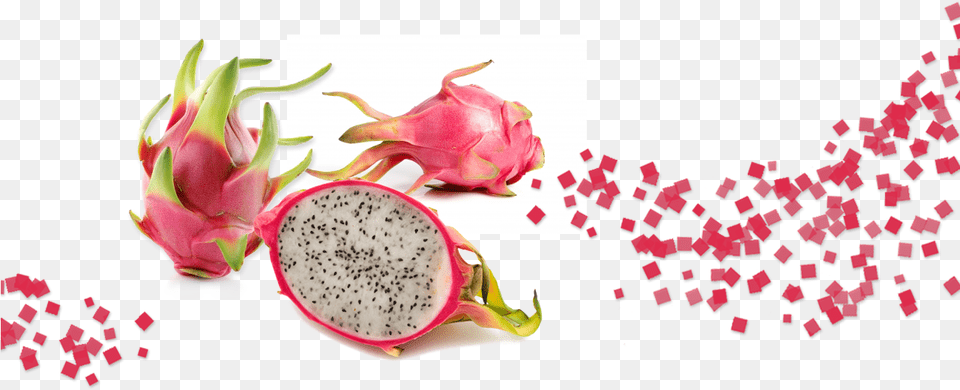 Dragon Fruit Dragon Fruit Background, Food, Plant, Produce, Flower Free Png