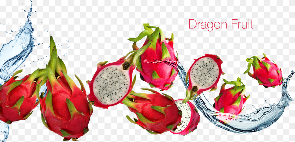 Dragon Fruit Images Dragonfruit, Food, Plant, Produce, Flower Free Png Download