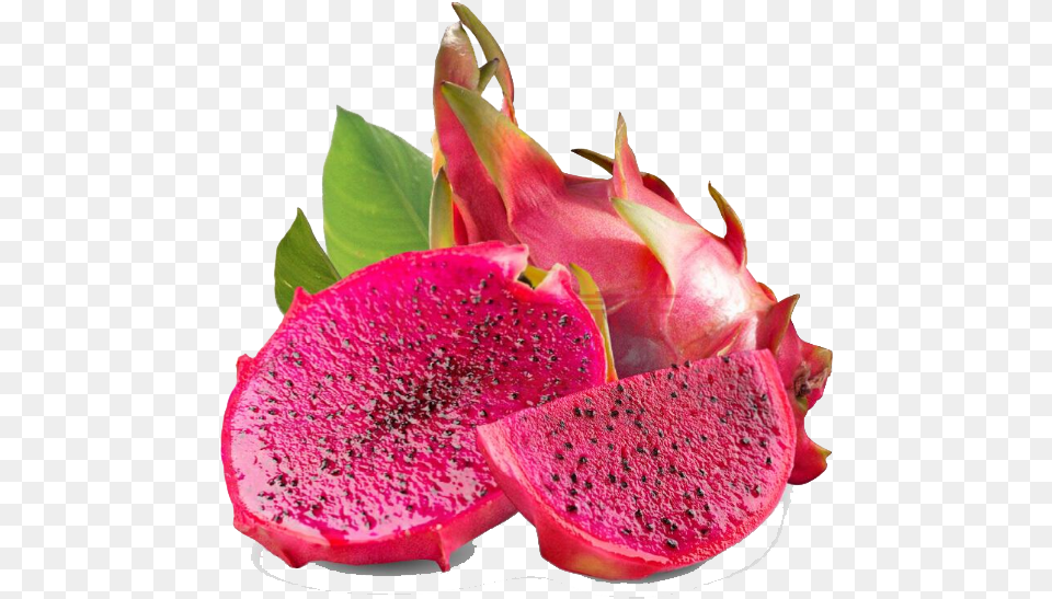 Dragon Fruit Is Usually Oval Elliptical Or Pear Shped Red Dragon Fruit, Food, Plant, Produce Png Image