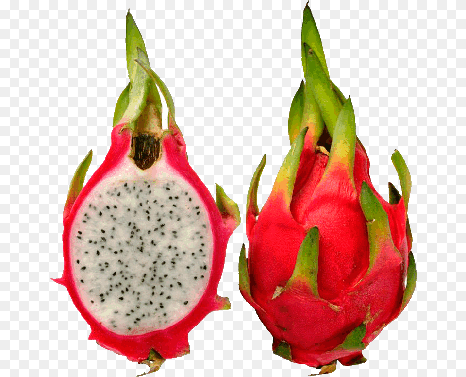 Dragon Fruit Pictures Clip Art Dragon Fruit Images Download, Food, Plant, Produce, Flower Free Png