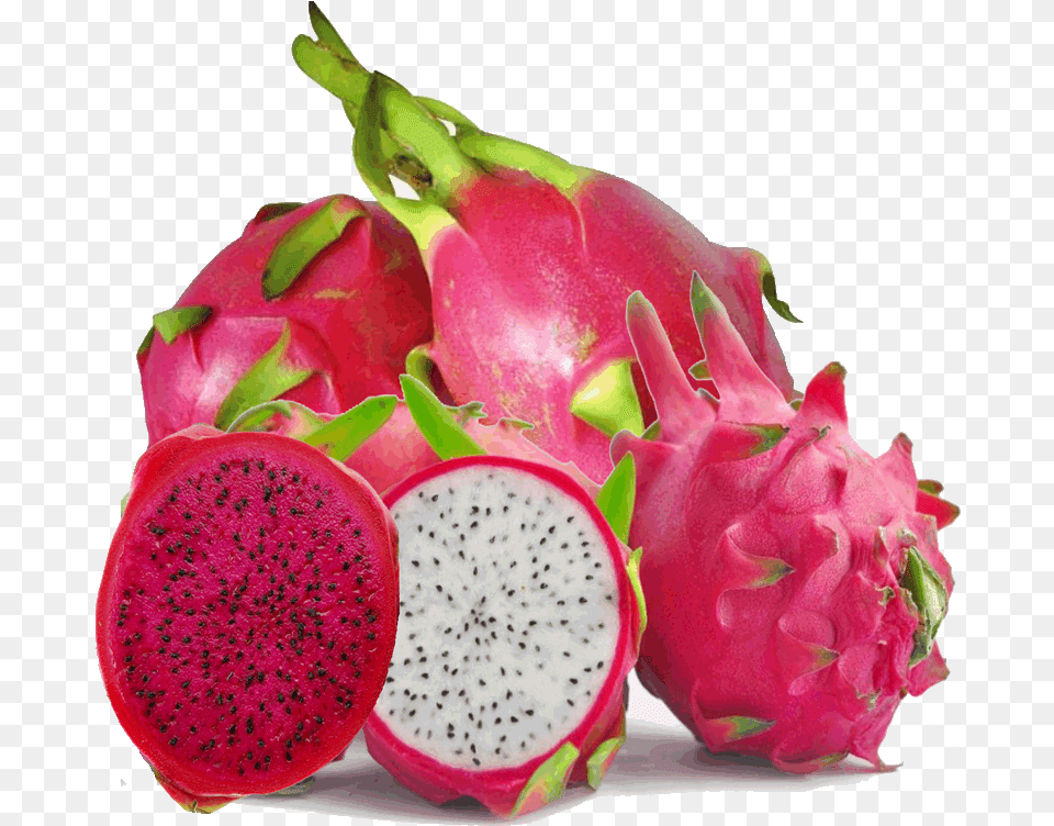 Dragon Fruit Pictures Dragon Fruit Girl, Food, Plant, Produce, Flower Free Transparent Png