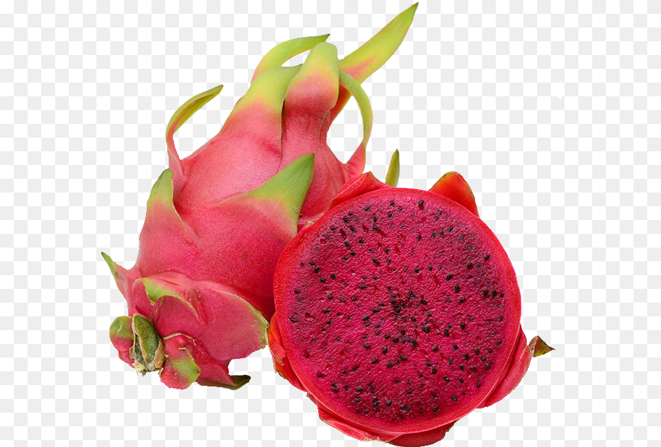Dragon Fruit Producer In West Bengal Dragon Fruit, Food, Plant, Produce, Flower Free Transparent Png