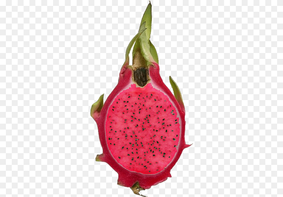 Dragon Fruit Redu0026white Truong Enterprises Imported Fruits In India, Food, Plant, Produce, Flower Free Png Download