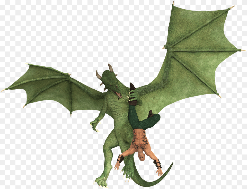 Dragon Green Flying Dragon, Person, Accessories Png