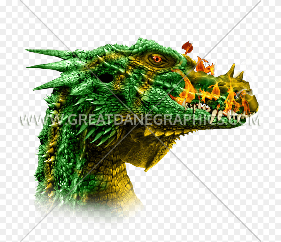 Dragon Head, Animal, Dinosaur, Reptile, Lizard Png