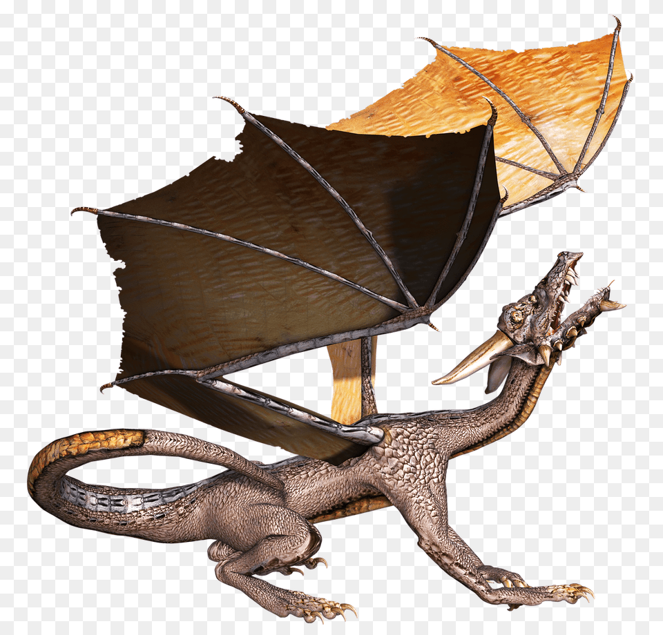 Dragon Head Up, Animal, Lizard, Reptile Free Transparent Png