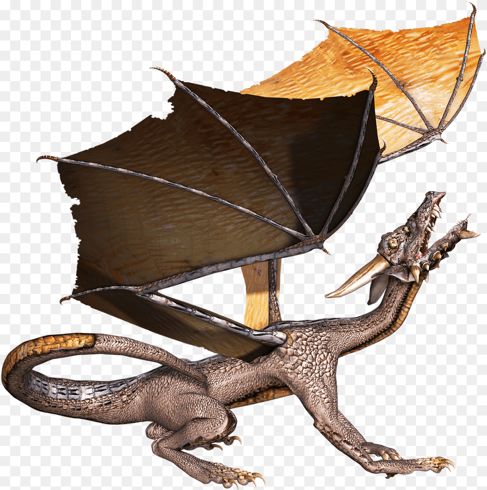 Dragon Head Up Portable Network Graphics, Animal, Lizard, Reptile Png
